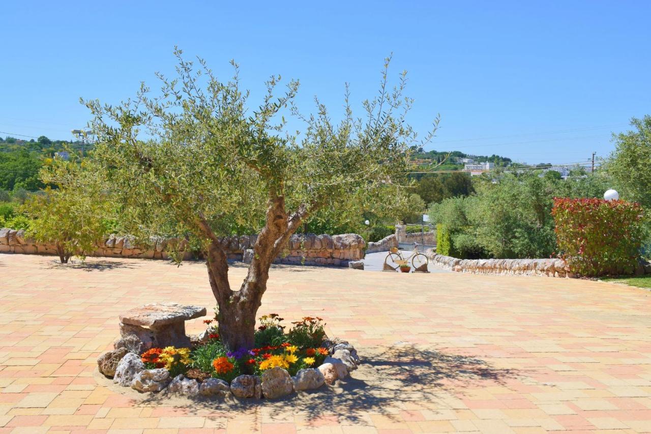 La Rosa Dei Trulli B&B Alberobello Exteriör bild