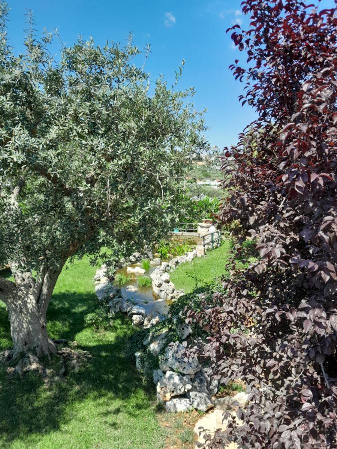 La Rosa Dei Trulli B&B Alberobello Exteriör bild