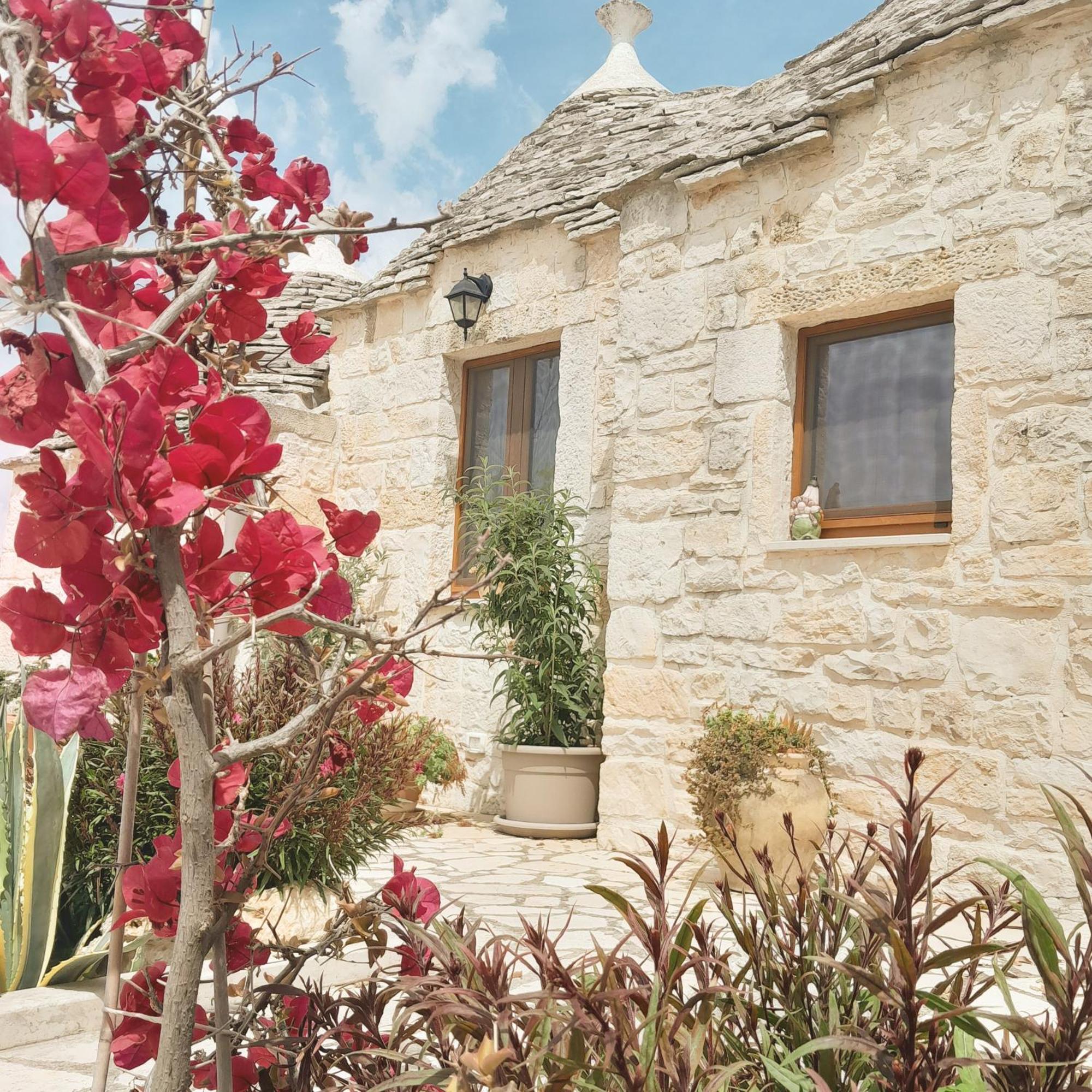 La Rosa Dei Trulli B&B Alberobello Exteriör bild