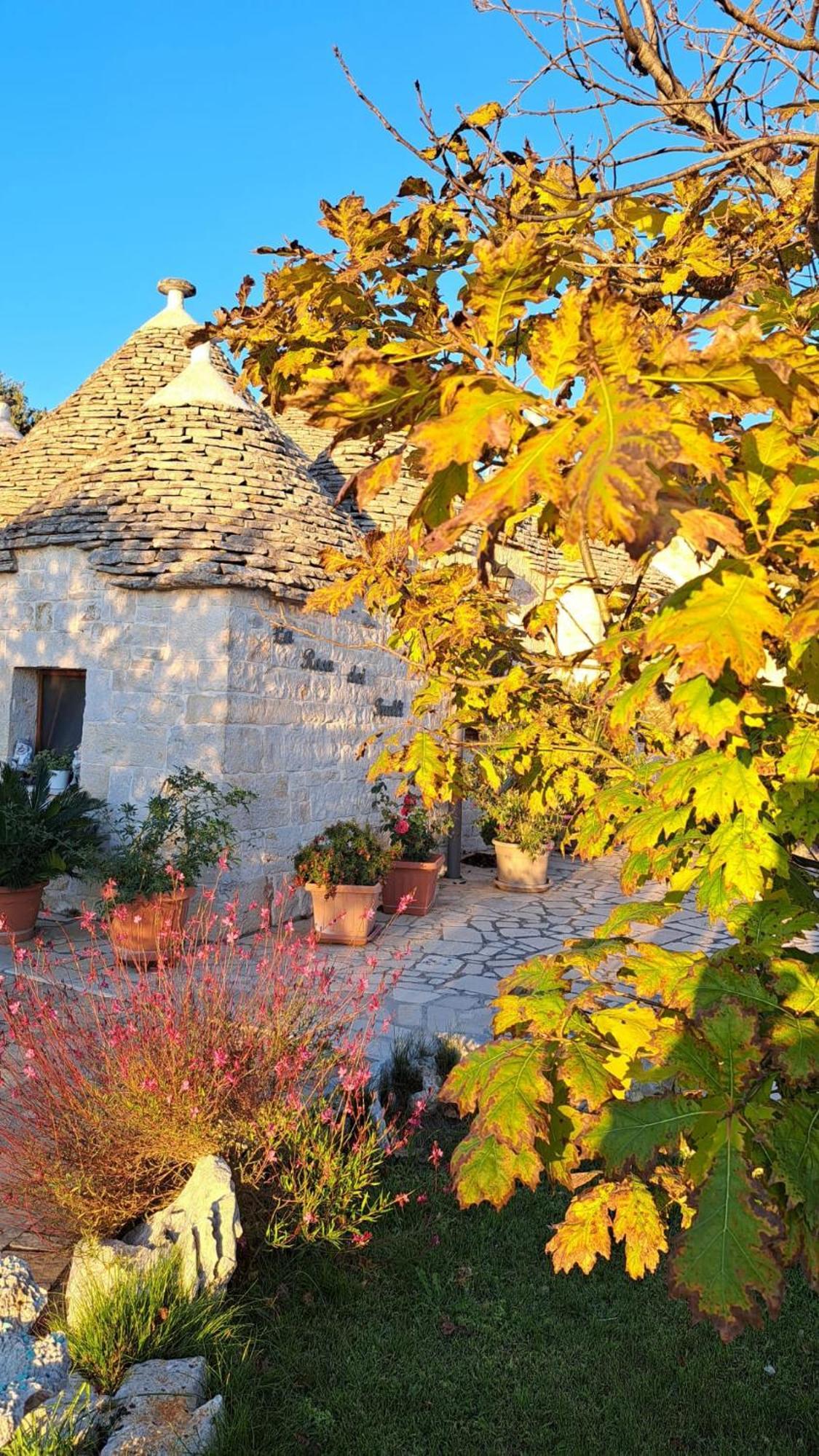La Rosa Dei Trulli B&B Alberobello Exteriör bild