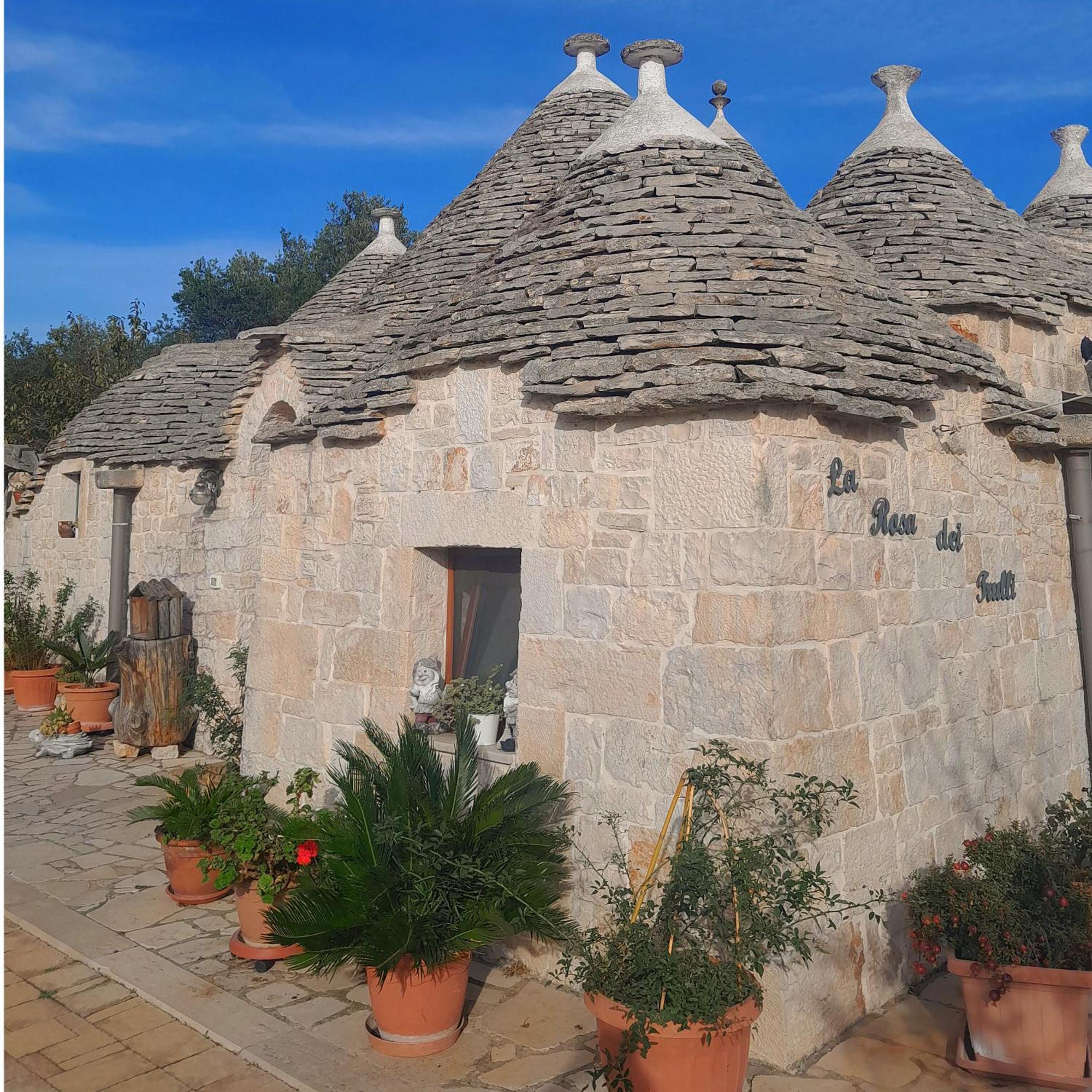 La Rosa Dei Trulli B&B Alberobello Rum bild
