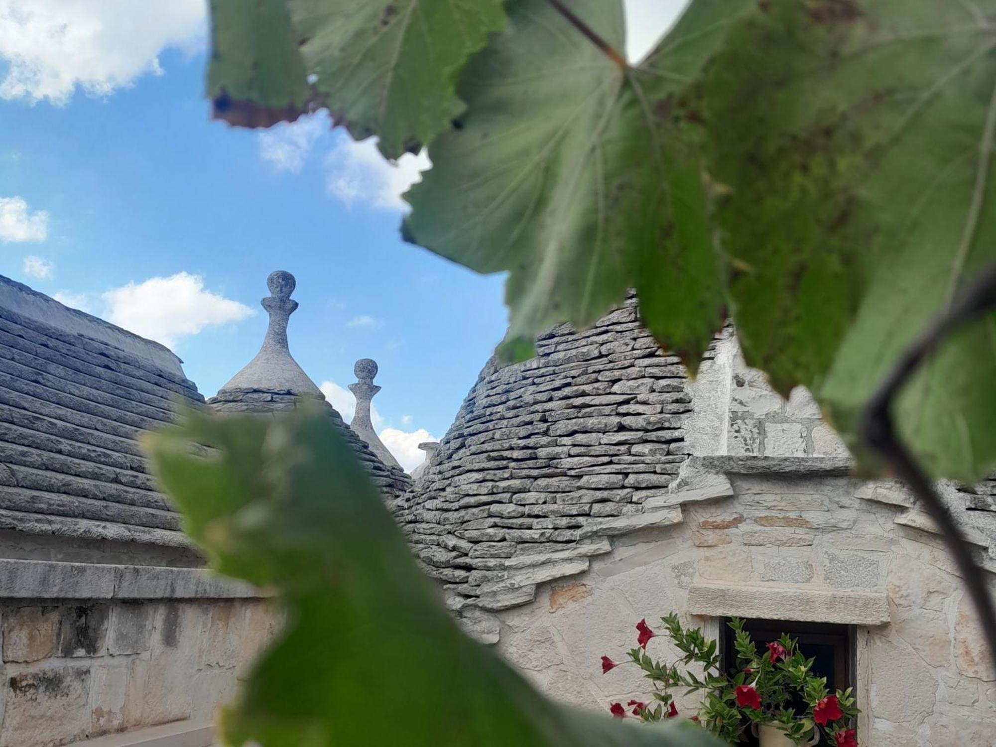La Rosa Dei Trulli B&B Alberobello Exteriör bild