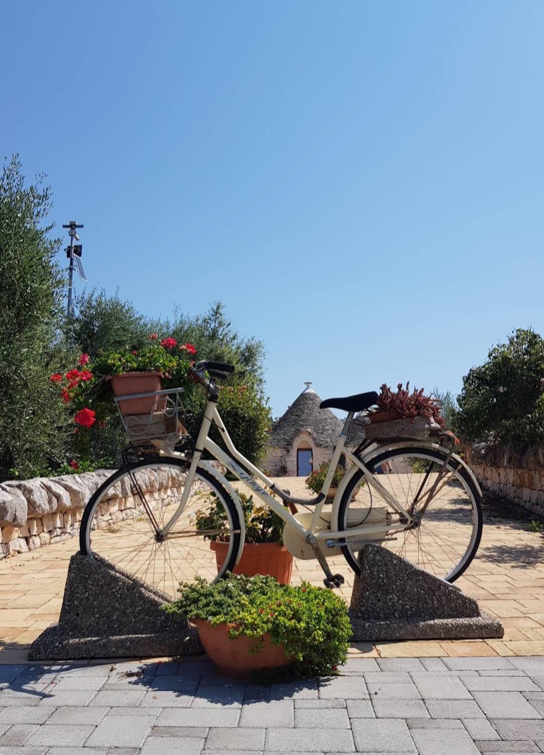 La Rosa Dei Trulli B&B Alberobello Exteriör bild