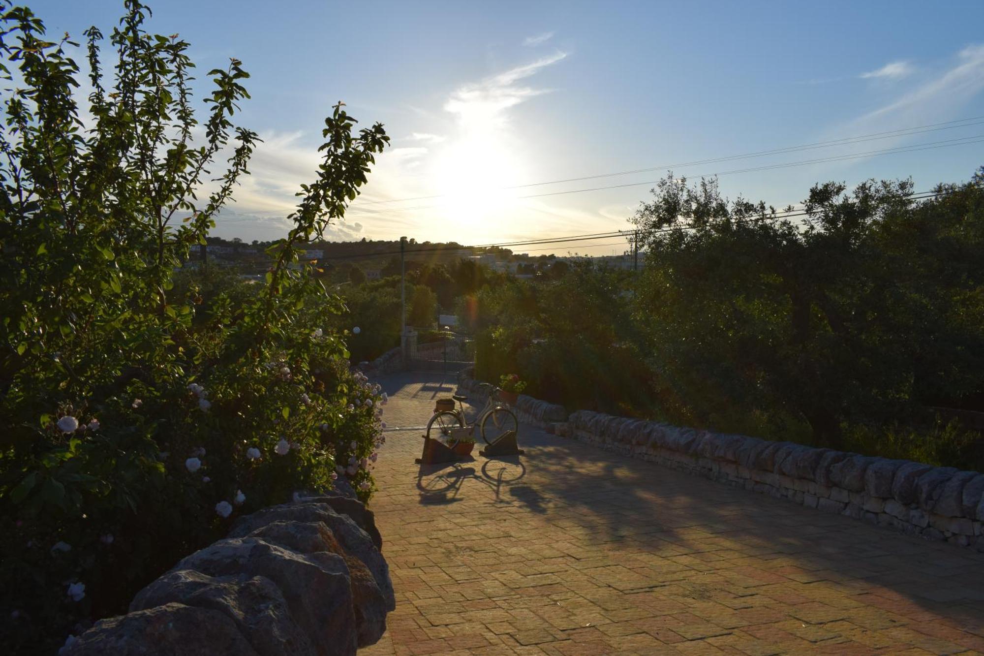La Rosa Dei Trulli B&B Alberobello Exteriör bild
