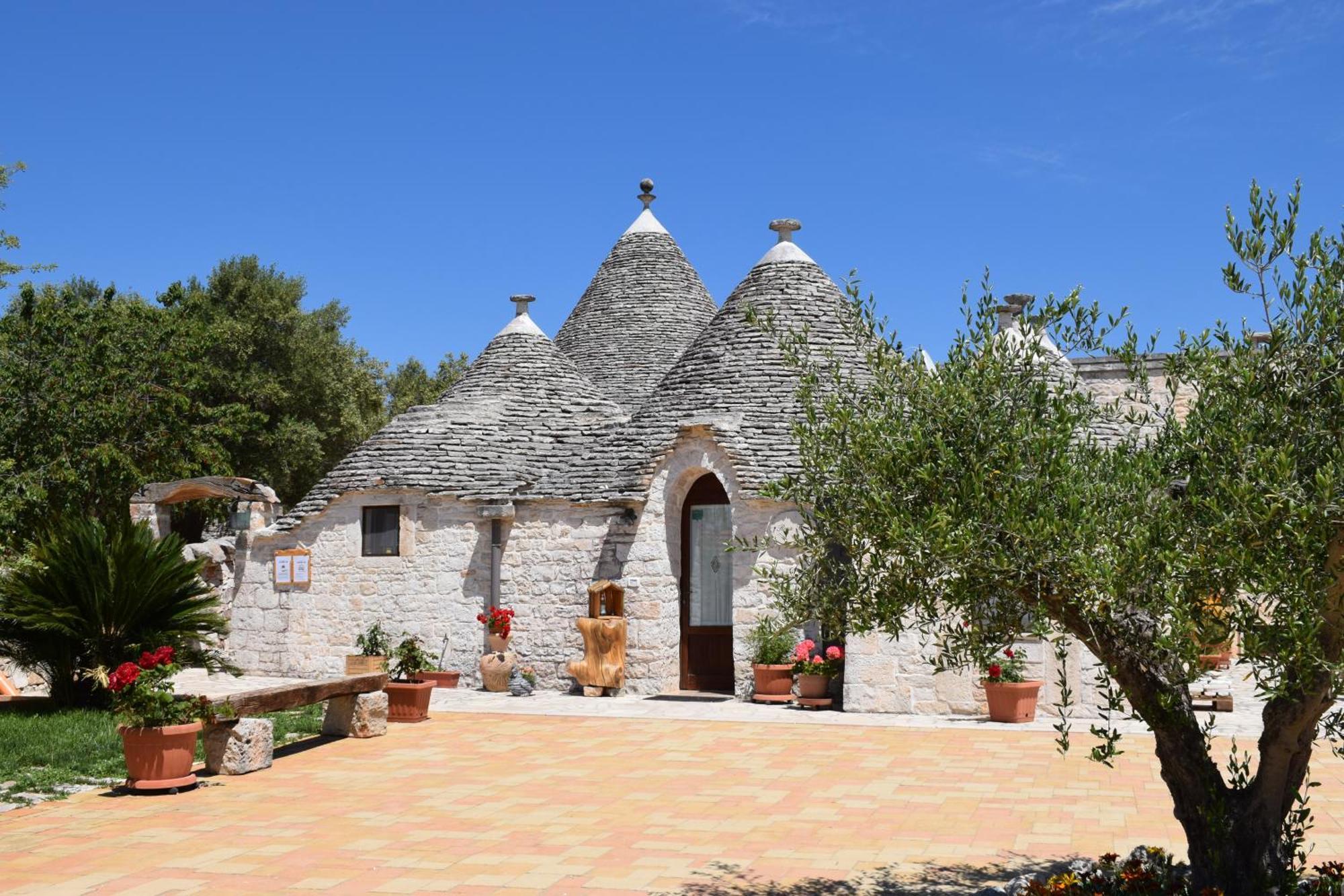 La Rosa Dei Trulli B&B Alberobello Exteriör bild