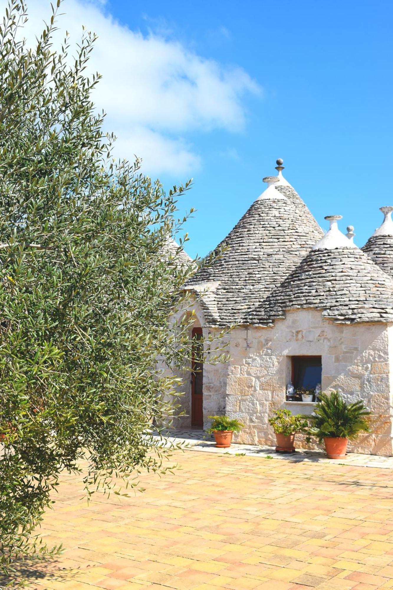 La Rosa Dei Trulli B&B Alberobello Exteriör bild