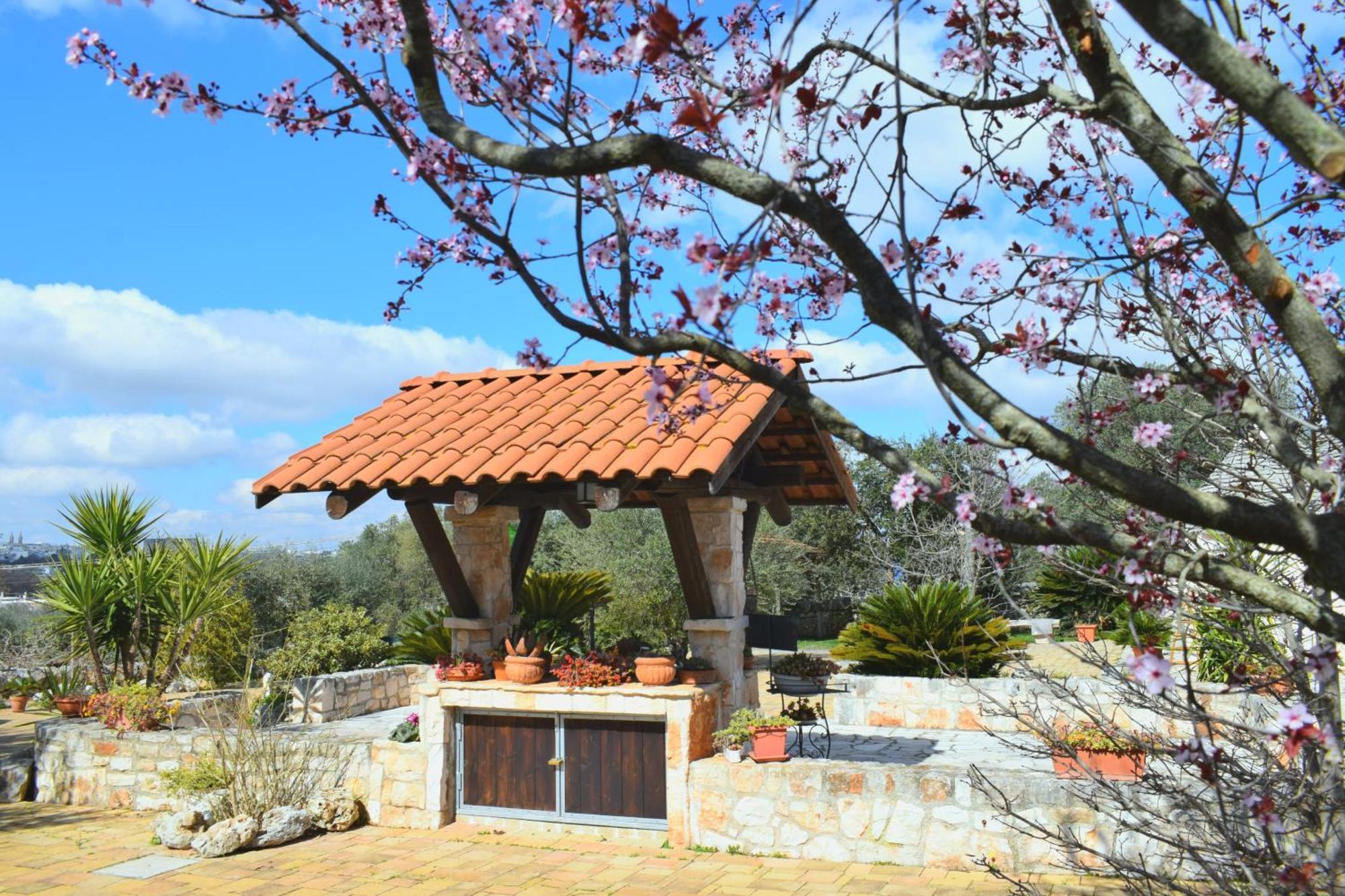La Rosa Dei Trulli B&B Alberobello Exteriör bild