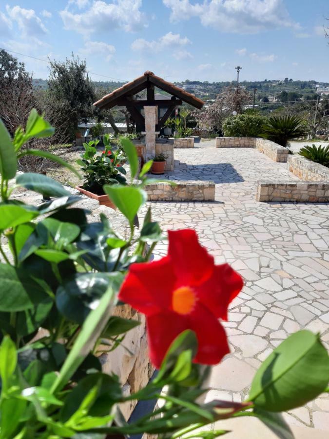 La Rosa Dei Trulli B&B Alberobello Exteriör bild